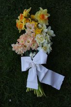 Load image into Gallery viewer, Specialty Narcissi