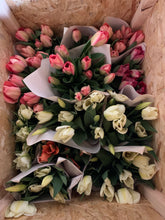 Load image into Gallery viewer, Tulip Bunch