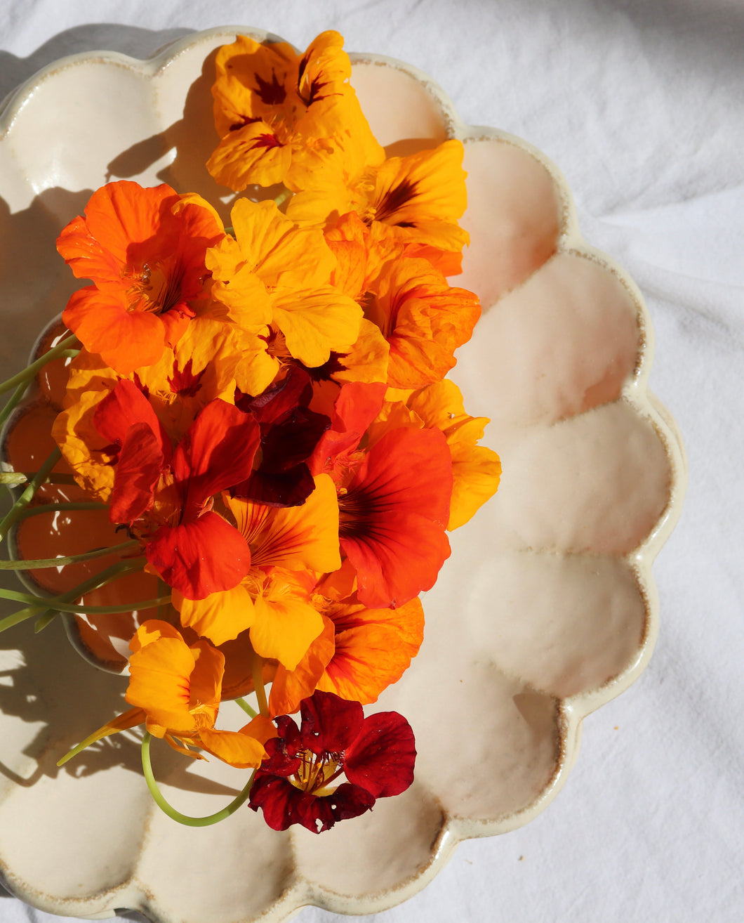 Edible Flowers