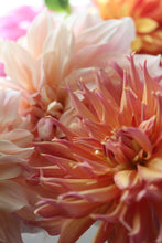 Load image into Gallery viewer, Seasonal Dahlia Bunch
